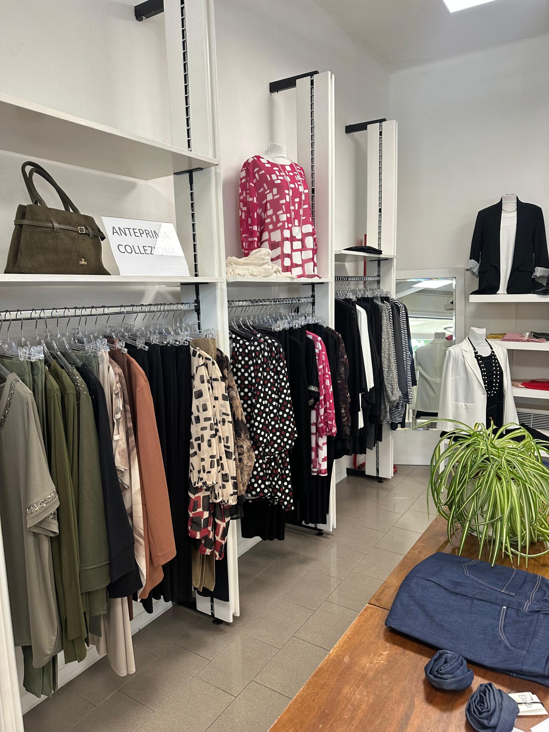 WhatsApp Image 2025-10-09 at 17.11.57