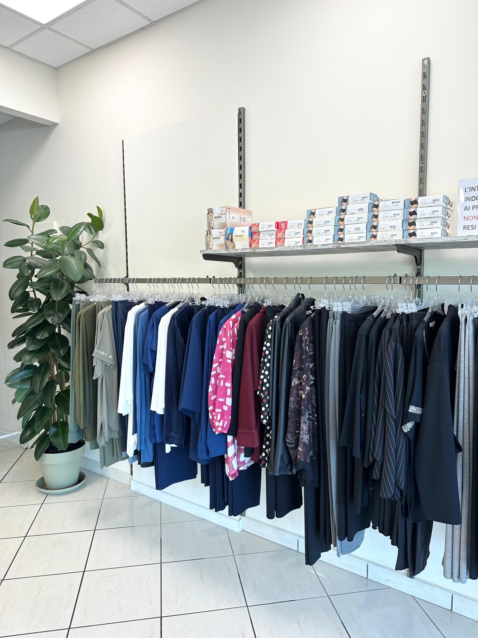 WhatsApp Image 2025-10-09 at 17.12.00